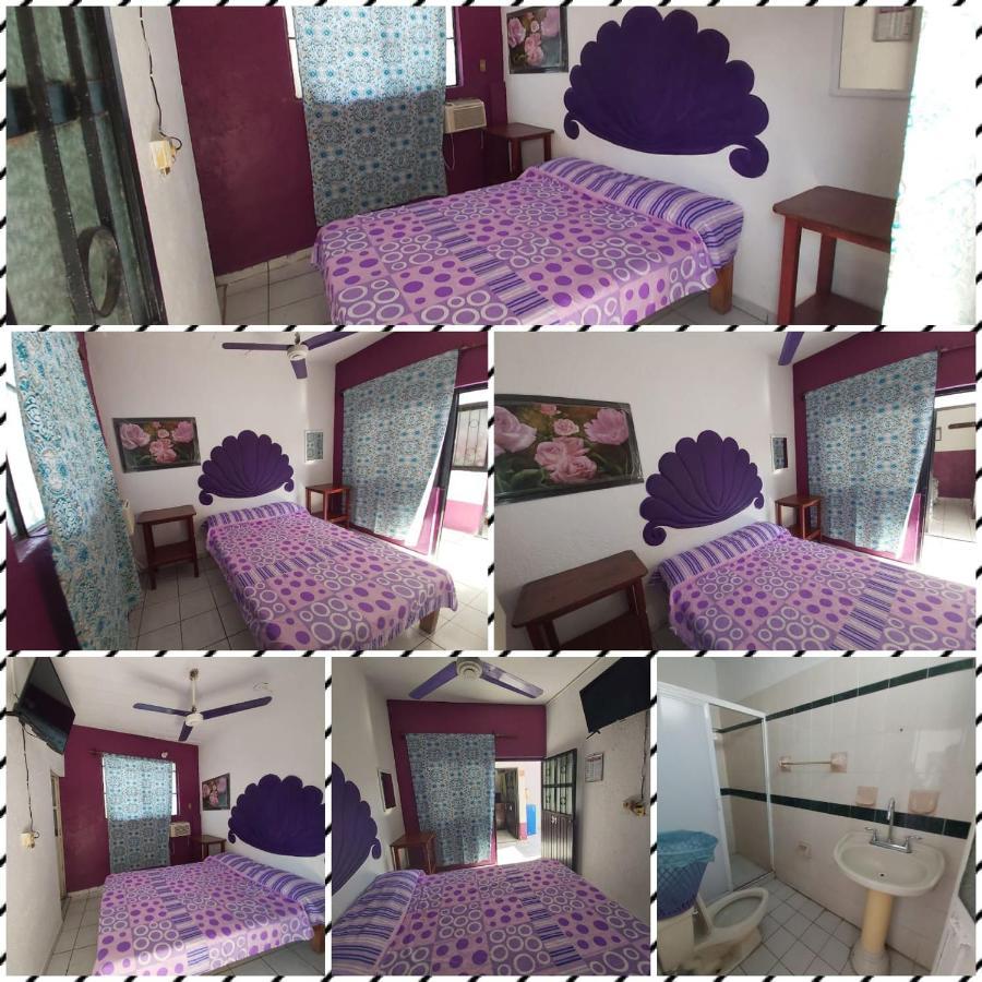 Hotel Ayalamar مانزانيلو المظهر الخارجي الصورة